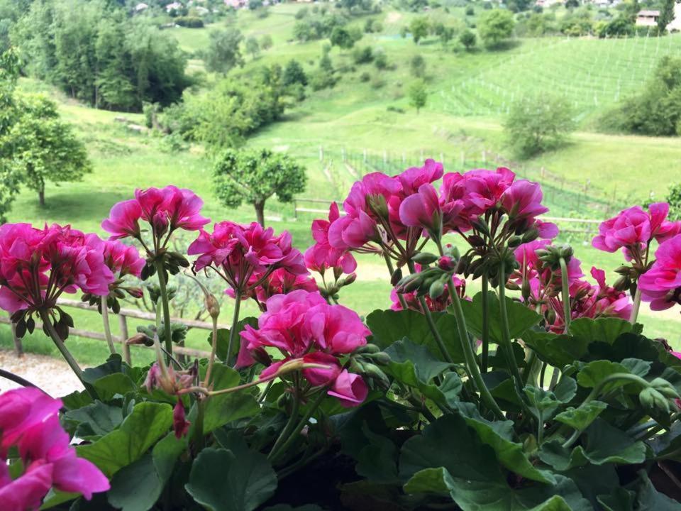 Vila Agriturismo Al Capitello Asolo Exteriér fotografie