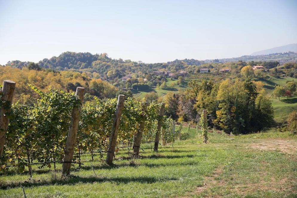 Vila Agriturismo Al Capitello Asolo Exteriér fotografie